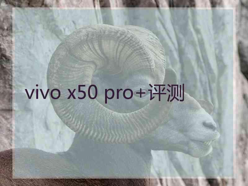 vivo x50 pro+评测